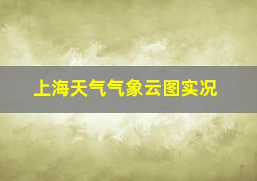 上海天气气象云图实况