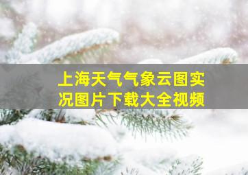 上海天气气象云图实况图片下载大全视频