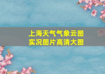 上海天气气象云图实况图片高清大图