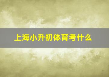 上海小升初体育考什么