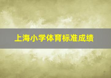 上海小学体育标准成绩