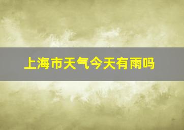 上海市天气今天有雨吗