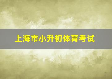 上海市小升初体育考试