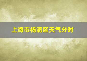 上海市杨浦区天气分时