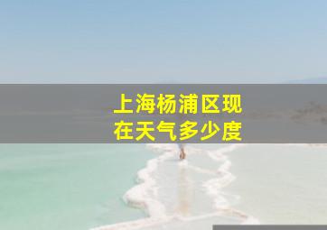 上海杨浦区现在天气多少度