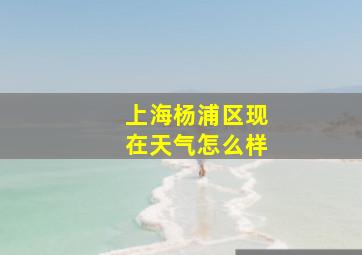 上海杨浦区现在天气怎么样