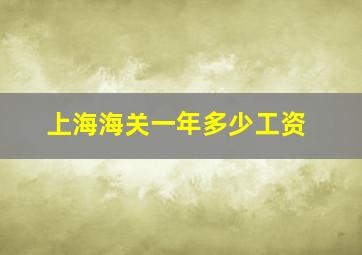 上海海关一年多少工资