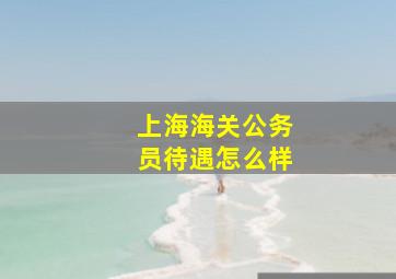 上海海关公务员待遇怎么样