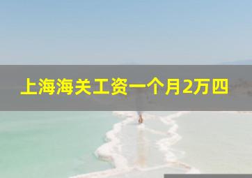 上海海关工资一个月2万四