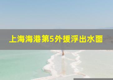 上海海港第5外援浮出水面