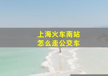 上海火车南站怎么走公交车