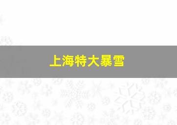 上海特大暴雪