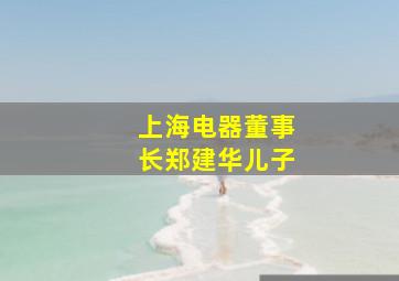 上海电器董事长郑建华儿子