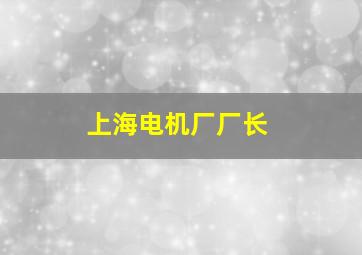 上海电机厂厂长