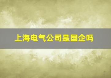 上海电气公司是国企吗