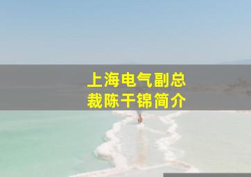 上海电气副总裁陈干锦简介