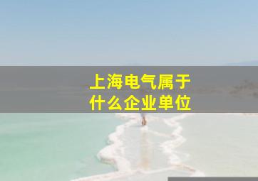 上海电气属于什么企业单位