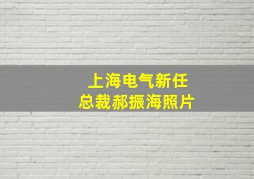 上海电气新任总裁郝振海照片