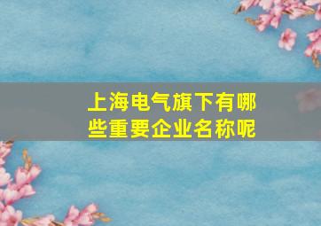 上海电气旗下有哪些重要企业名称呢