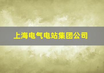 上海电气电站集团公司