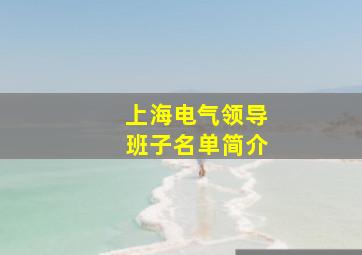 上海电气领导班子名单简介