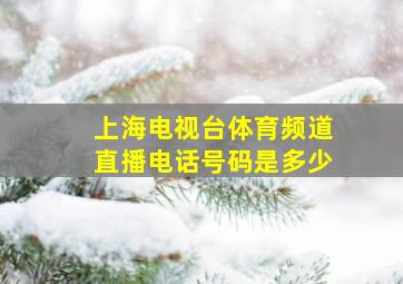 上海电视台体育频道直播电话号码是多少