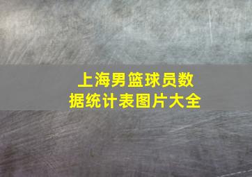 上海男篮球员数据统计表图片大全