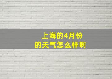 上海的4月份的天气怎么样啊