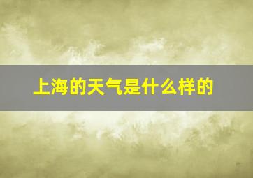 上海的天气是什么样的