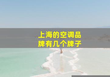 上海的空调品牌有几个牌子