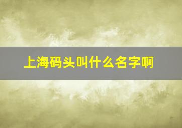 上海码头叫什么名字啊