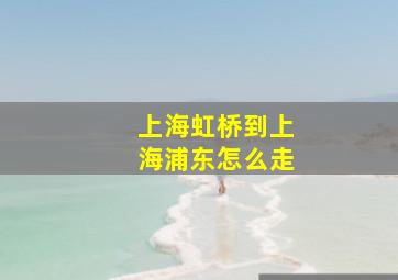 上海虹桥到上海浦东怎么走