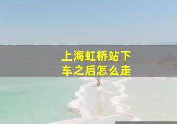 上海虹桥站下车之后怎么走