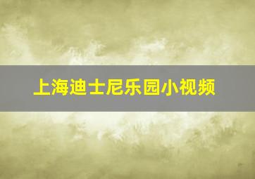 上海迪士尼乐园小视频