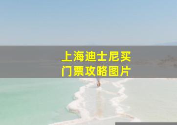 上海迪士尼买门票攻略图片