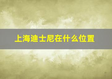 上海迪士尼在什么位置