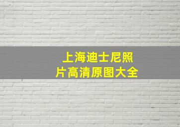 上海迪士尼照片高清原图大全