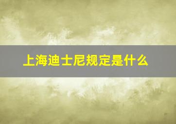 上海迪士尼规定是什么