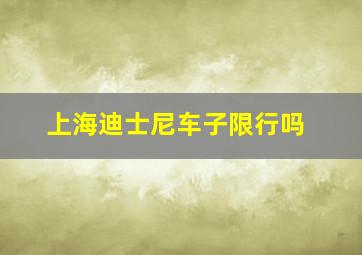 上海迪士尼车子限行吗