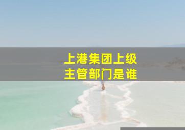 上港集团上级主管部门是谁