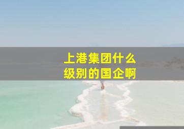 上港集团什么级别的国企啊