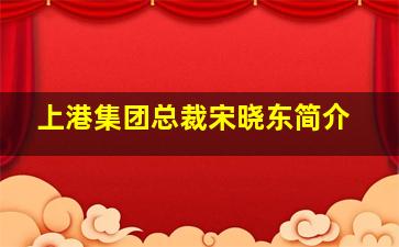 上港集团总裁宋晓东简介