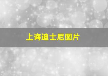 上诲迪士尼图片