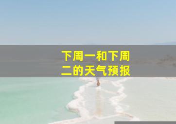 下周一和下周二的天气预报