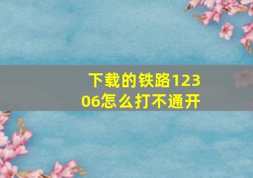 下载的铁路12306怎么打不通开