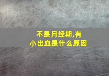 不是月经期,有小出血是什么原因