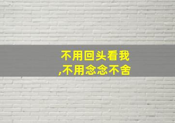 不用回头看我,不用念念不舍