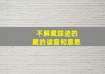 不解藏踪迹的藏的读音和意思