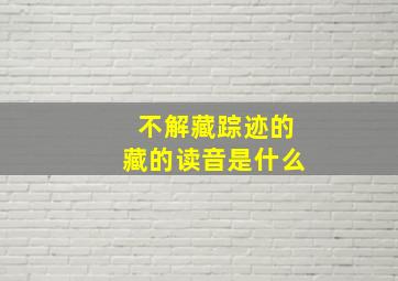 不解藏踪迹的藏的读音是什么