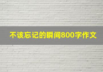 不该忘记的瞬间800字作文